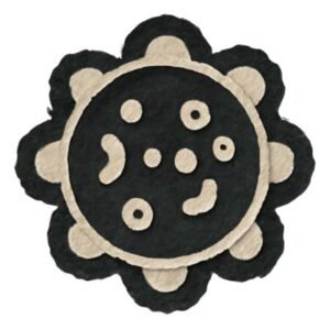 AUTOPHAGY & FASTING UNLOCKING YOUR BODYS HIDDEN REPAIR SYSTEM