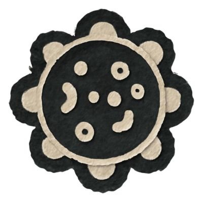 AUTOPHAGY & FASTING UNLOCKING YOUR BODYS HIDDEN REPAIR SYSTEM