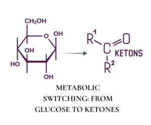 METABOLIC SWITCHING: FROM GLUCOSE TO KETONES — HOW & WHEN IT HAPPENS