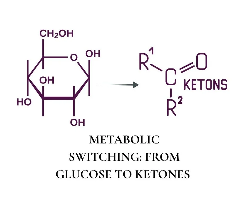 METABOLIC SWITCHING: FROM GLUCOSE TO KETONES — HOW & WHEN IT HAPPENS