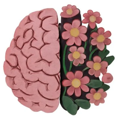 AUTOPHAGY AND BRAIN HEALTH-WHAT STUDIES SHOW ABOUT NEUROPROTECTION