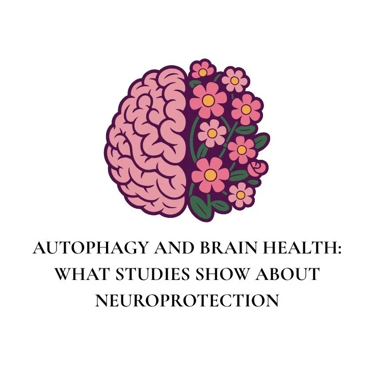 AUTOPHAGY AND BRAIN HEALTH: WHAT STUDIES SHOW ABOUT NEUROPROTECTION