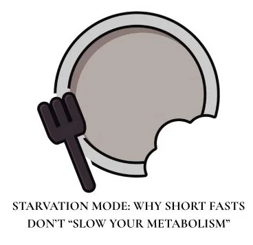STARVATION MODE WHY SHORT FASTS DON’T “SLOW YOUR METABOLISM”