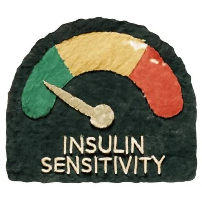 THE ROLE OF INSULIN IN FASTING -SENSITIVITY - RESISTANCE & REVERSAL
